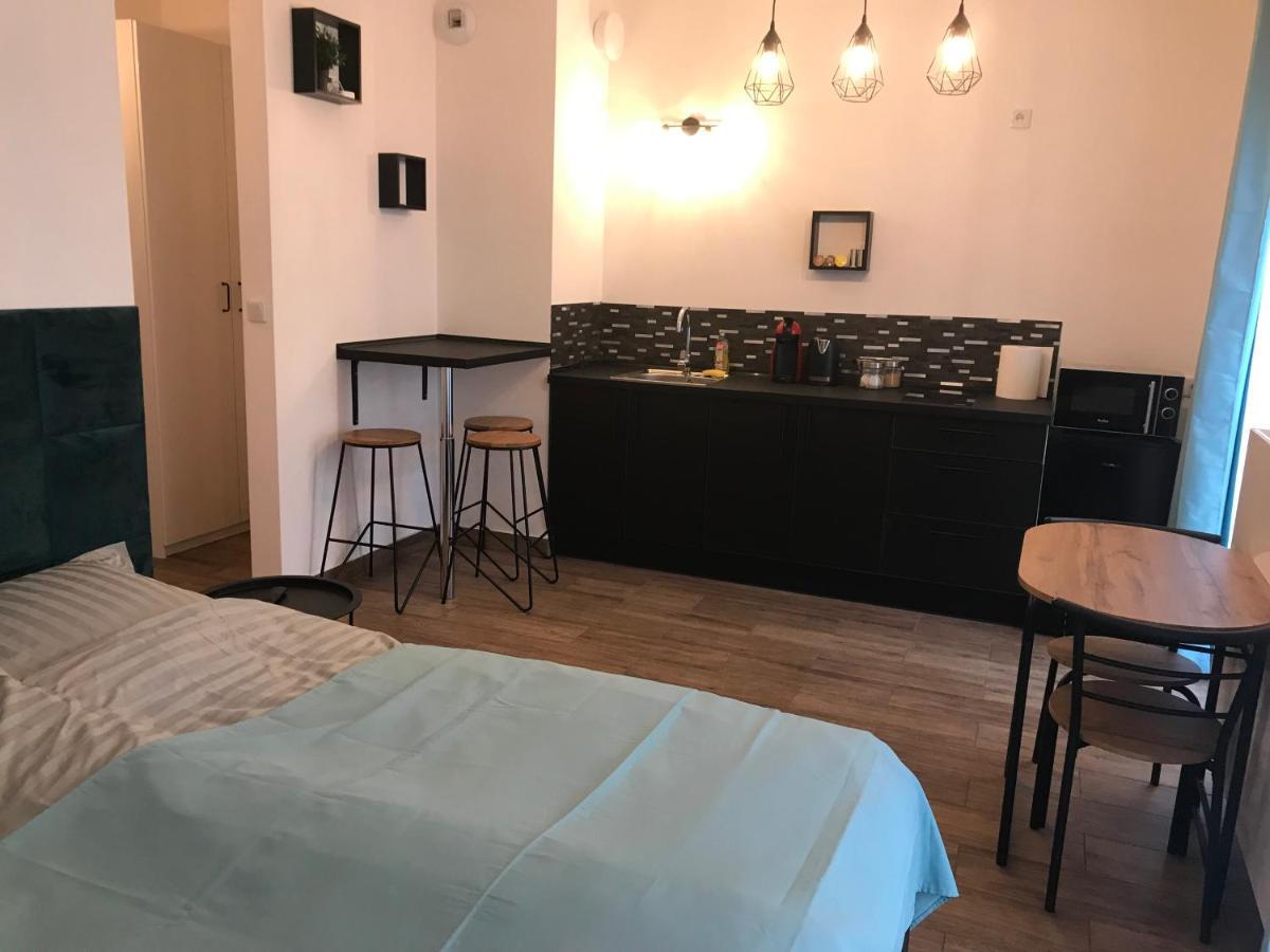 Steam Park Rakowicka Koper Apartment Krakkó Kültér fotó